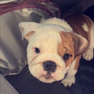 Meet your Posher, Christian